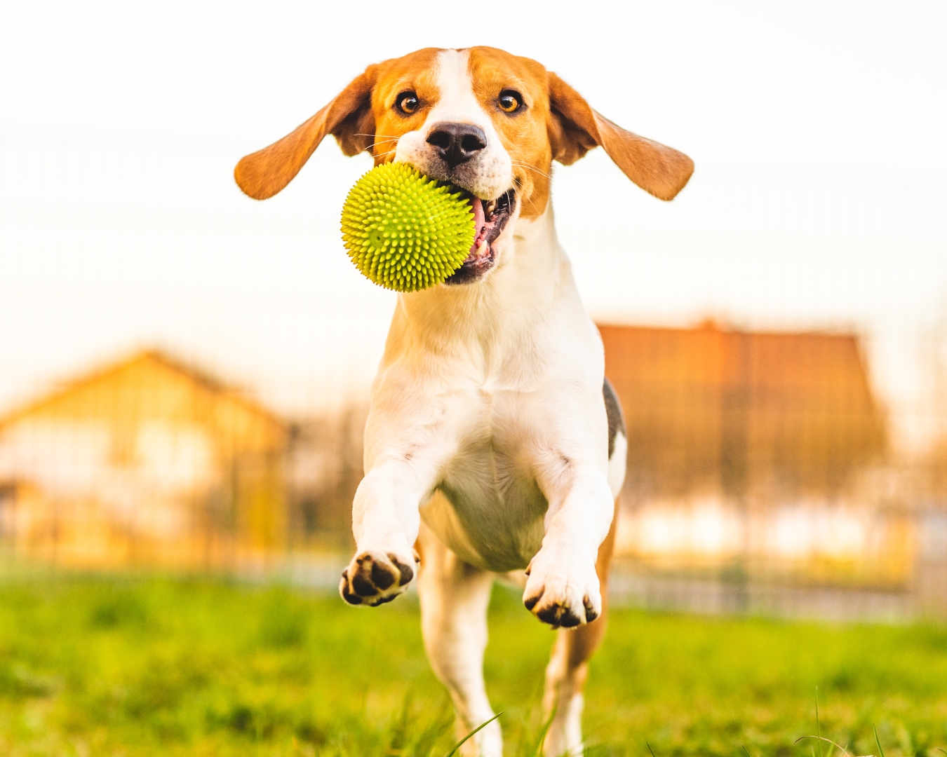 business cork feature image (26)