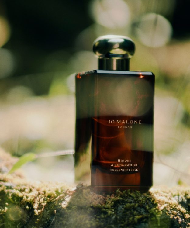 Hi Style – Featured Image (500 x 600 px)