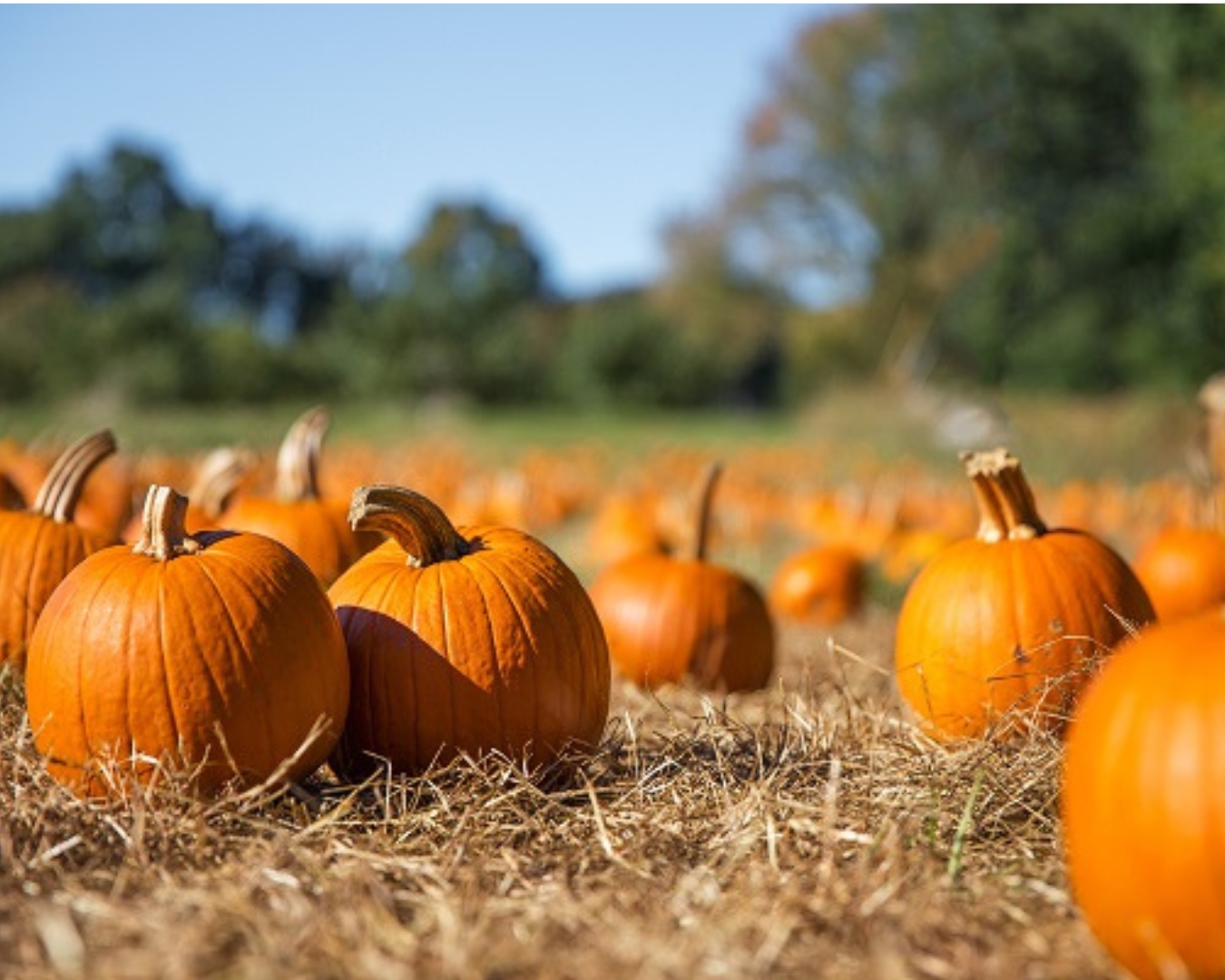 business cork feature image