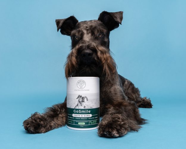 business cork feature image (1)