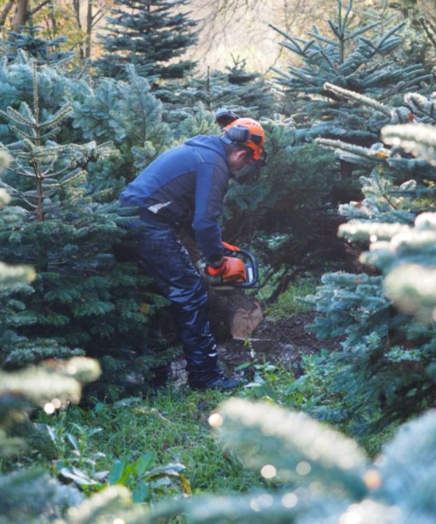 Hi Style – Featured Image (500 x 600 px) (1)