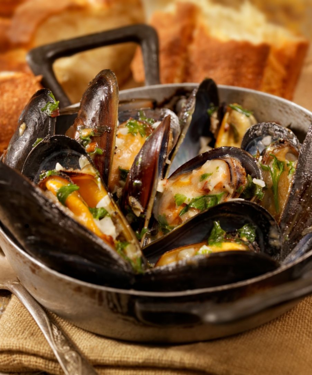 Hi Style – Featured Image (500 x 600 px) (43)