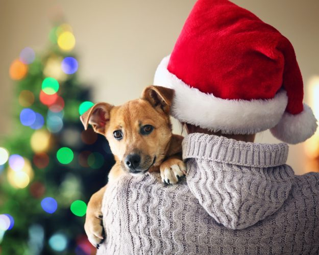 business cork feature image (1)