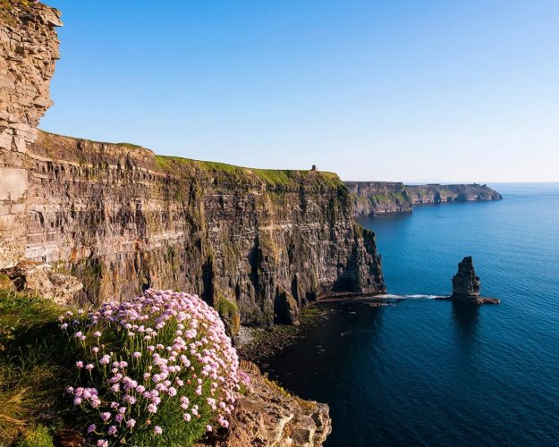 business cork feature image (49)