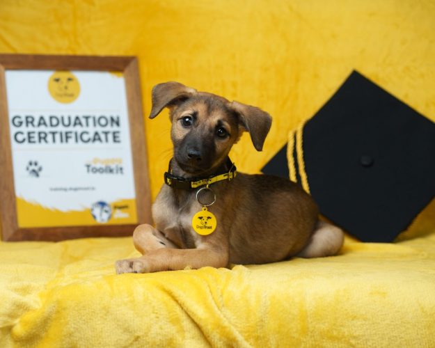 business cork feature image (64)