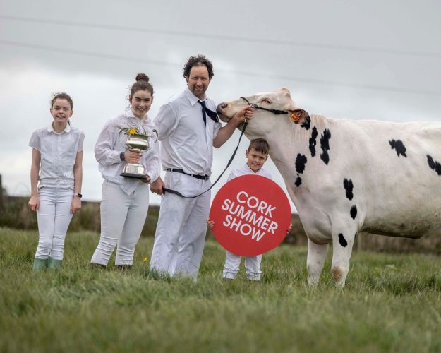 business cork feature image (67)